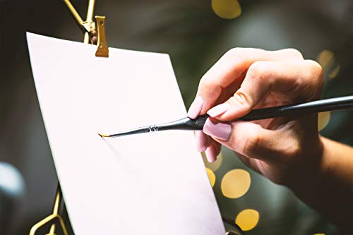 Miniatures Paint Brush Set - 12pc with Included Case and Mini Palette. Tiny Professional Fine Detail Brushes, Detailing Paint kit for Acrylic, Watercolor - Scale Models, Art, Paint by Numbers Kit